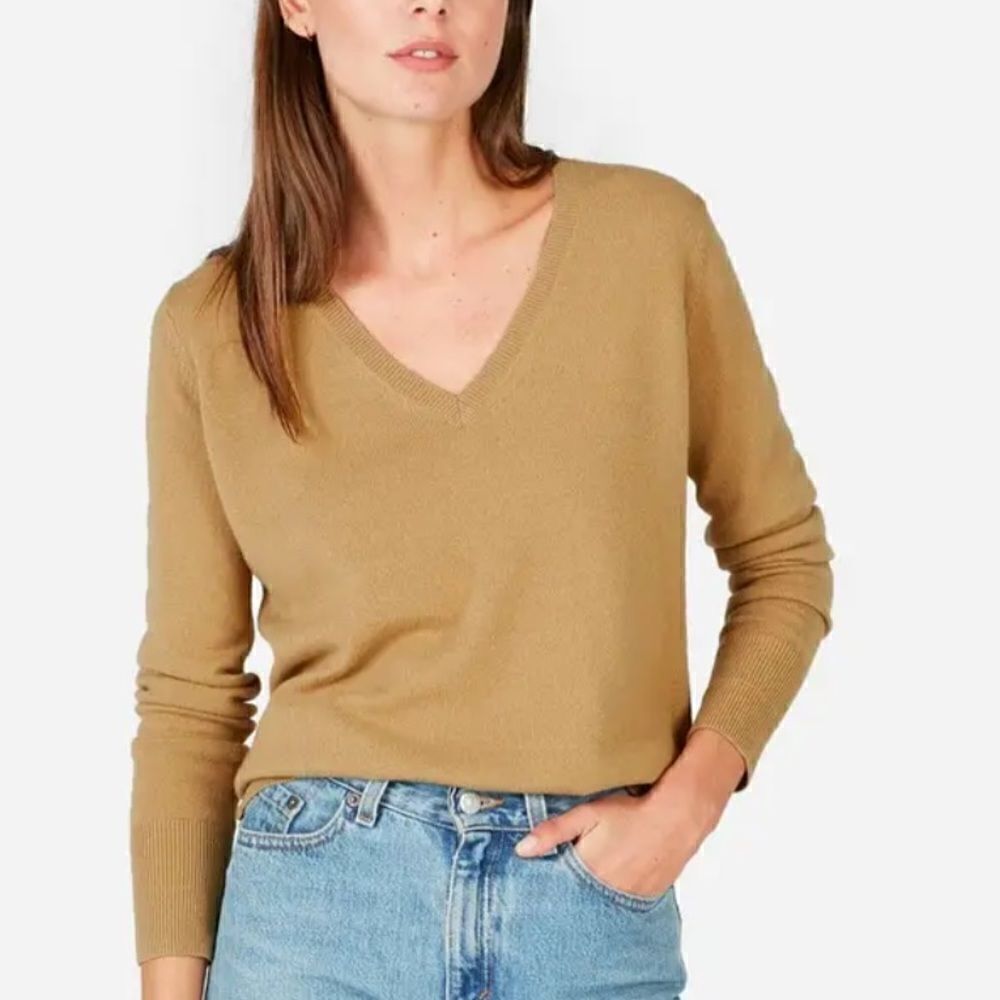Everlane V Neck Cashmere Sweater